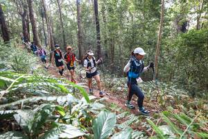 BIB: 
                            <button type="button" onclick="openModal(22565665)" class="btn btn-primary btn-sm float-right btn-popup" data-toggle="modal" data-target=".modal-high-quality">
                        <i class="fas fa-shopping-cart"></i> Add to Cart
                    </button>
                                            <button type="button" onclick="isThisMe(22565665, true)" class="btn btn-success btn-sm float-right btn-popup btn-isme hidden" data-toggle="tooltip" data-placement="bottom" title="นี่คือรูปของคุณใช่ไหม คลิกที่นี่เพื่อเอาเข้าอัลบั้ม">
                        <i class="fas fa-plus"></i> Add to album
                    </button>
                    <button type="button" onclick="isThisMe(22565665, false)" class="btn btn-warning btn-sm float-right btn-popup btn-isnotme hidden">
                        <i class="fas fa-ban"></i> Remove from album
                    </button>