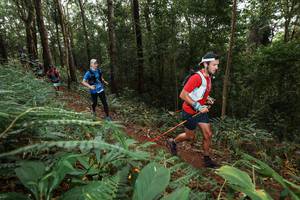 BIB: 
                            <button type="button" onclick="openModal(22537164)" class="btn btn-primary btn-sm float-right btn-popup" data-toggle="modal" data-target=".modal-high-quality">
                        <i class="fas fa-shopping-cart"></i> Add to Cart
                    </button>
                                            <button type="button" onclick="isThisMe(22537164, true)" class="btn btn-success btn-sm float-right btn-popup btn-isme hidden" data-toggle="tooltip" data-placement="bottom" title="นี่คือรูปของคุณใช่ไหม คลิกที่นี่เพื่อเอาเข้าอัลบั้ม">
                        <i class="fas fa-plus"></i> Add to album
                    </button>
                    <button type="button" onclick="isThisMe(22537164, false)" class="btn btn-warning btn-sm float-right btn-popup btn-isnotme hidden">
                        <i class="fas fa-ban"></i> Remove from album
                    </button>