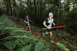 BIB: 
                            <button type="button" onclick="openModal(22533101)" class="btn btn-primary btn-sm float-right btn-popup" data-toggle="modal" data-target=".modal-high-quality">
                        <i class="fas fa-shopping-cart"></i> Add to Cart
                    </button>
                                            <button type="button" onclick="isThisMe(22533101, true)" class="btn btn-success btn-sm float-right btn-popup btn-isme hidden" data-toggle="tooltip" data-placement="bottom" title="นี่คือรูปของคุณใช่ไหม คลิกที่นี่เพื่อเอาเข้าอัลบั้ม">
                        <i class="fas fa-plus"></i> Add to album
                    </button>
                    <button type="button" onclick="isThisMe(22533101, false)" class="btn btn-warning btn-sm float-right btn-popup btn-isnotme hidden">
                        <i class="fas fa-ban"></i> Remove from album
                    </button>