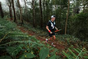 BIB: 
                            <button type="button" onclick="openModal(22571648)" class="btn btn-primary btn-sm float-right btn-popup" data-toggle="modal" data-target=".modal-high-quality">
                        <i class="fas fa-shopping-cart"></i> Add to Cart
                    </button>
                                            <button type="button" onclick="isThisMe(22571648, true)" class="btn btn-success btn-sm float-right btn-popup btn-isme hidden" data-toggle="tooltip" data-placement="bottom" title="นี่คือรูปของคุณใช่ไหม คลิกที่นี่เพื่อเอาเข้าอัลบั้ม">
                        <i class="fas fa-plus"></i> Add to album
                    </button>
                    <button type="button" onclick="isThisMe(22571648, false)" class="btn btn-warning btn-sm float-right btn-popup btn-isnotme hidden">
                        <i class="fas fa-ban"></i> Remove from album
                    </button>