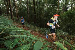 BIB: 
                            <button type="button" onclick="openModal(22534496)" class="btn btn-primary btn-sm float-right btn-popup" data-toggle="modal" data-target=".modal-high-quality">
                        <i class="fas fa-shopping-cart"></i> Add to Cart
                    </button>
                                            <button type="button" onclick="isThisMe(22534496, true)" class="btn btn-success btn-sm float-right btn-popup btn-isme hidden" data-toggle="tooltip" data-placement="bottom" title="นี่คือรูปของคุณใช่ไหม คลิกที่นี่เพื่อเอาเข้าอัลบั้ม">
                        <i class="fas fa-plus"></i> Add to album
                    </button>
                    <button type="button" onclick="isThisMe(22534496, false)" class="btn btn-warning btn-sm float-right btn-popup btn-isnotme hidden">
                        <i class="fas fa-ban"></i> Remove from album
                    </button>