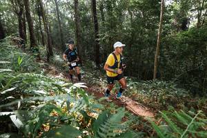 BIB: 
                            <button type="button" onclick="openModal(22544672)" class="btn btn-primary btn-sm float-right btn-popup" data-toggle="modal" data-target=".modal-high-quality">
                        <i class="fas fa-shopping-cart"></i> Add to Cart
                    </button>
                                            <button type="button" onclick="isThisMe(22544672, true)" class="btn btn-success btn-sm float-right btn-popup btn-isme hidden" data-toggle="tooltip" data-placement="bottom" title="นี่คือรูปของคุณใช่ไหม คลิกที่นี่เพื่อเอาเข้าอัลบั้ม">
                        <i class="fas fa-plus"></i> Add to album
                    </button>
                    <button type="button" onclick="isThisMe(22544672, false)" class="btn btn-warning btn-sm float-right btn-popup btn-isnotme hidden">
                        <i class="fas fa-ban"></i> Remove from album
                    </button>