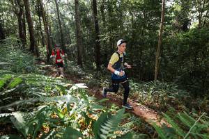 BIB: 
                            <button type="button" onclick="openModal(22544388)" class="btn btn-primary btn-sm float-right btn-popup" data-toggle="modal" data-target=".modal-high-quality">
                        <i class="fas fa-shopping-cart"></i> Add to Cart
                    </button>
                                            <button type="button" onclick="isThisMe(22544388, true)" class="btn btn-success btn-sm float-right btn-popup btn-isme hidden" data-toggle="tooltip" data-placement="bottom" title="นี่คือรูปของคุณใช่ไหม คลิกที่นี่เพื่อเอาเข้าอัลบั้ม">
                        <i class="fas fa-plus"></i> Add to album
                    </button>
                    <button type="button" onclick="isThisMe(22544388, false)" class="btn btn-warning btn-sm float-right btn-popup btn-isnotme hidden">
                        <i class="fas fa-ban"></i> Remove from album
                    </button>