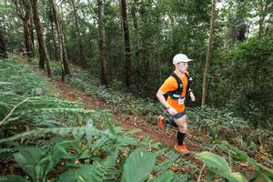 BIB: 
                            <button type="button" onclick="openModal(22541635)" class="btn btn-primary btn-sm float-right btn-popup" data-toggle="modal" data-target=".modal-high-quality">
                        <i class="fas fa-shopping-cart"></i> Add to Cart
                    </button>
                                            <button type="button" onclick="isThisMe(22541635, true)" class="btn btn-success btn-sm float-right btn-popup btn-isme hidden" data-toggle="tooltip" data-placement="bottom" title="นี่คือรูปของคุณใช่ไหม คลิกที่นี่เพื่อเอาเข้าอัลบั้ม">
                        <i class="fas fa-plus"></i> Add to album
                    </button>
                    <button type="button" onclick="isThisMe(22541635, false)" class="btn btn-warning btn-sm float-right btn-popup btn-isnotme hidden">
                        <i class="fas fa-ban"></i> Remove from album
                    </button>