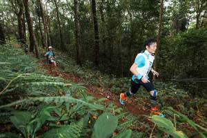 BIB: 
                            <button type="button" onclick="openModal(22535230)" class="btn btn-primary btn-sm float-right btn-popup" data-toggle="modal" data-target=".modal-high-quality">
                        <i class="fas fa-shopping-cart"></i> Add to Cart
                    </button>
                                            <button type="button" onclick="isThisMe(22535230, true)" class="btn btn-success btn-sm float-right btn-popup btn-isme hidden" data-toggle="tooltip" data-placement="bottom" title="นี่คือรูปของคุณใช่ไหม คลิกที่นี่เพื่อเอาเข้าอัลบั้ม">
                        <i class="fas fa-plus"></i> Add to album
                    </button>
                    <button type="button" onclick="isThisMe(22535230, false)" class="btn btn-warning btn-sm float-right btn-popup btn-isnotme hidden">
                        <i class="fas fa-ban"></i> Remove from album
                    </button>