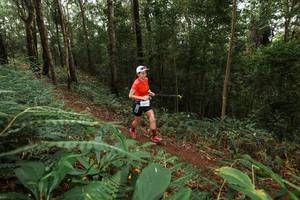 BIB: 
                            <button type="button" onclick="openModal(22534315)" class="btn btn-primary btn-sm float-right btn-popup" data-toggle="modal" data-target=".modal-high-quality">
                        <i class="fas fa-shopping-cart"></i> Add to Cart
                    </button>
                                            <button type="button" onclick="isThisMe(22534315, true)" class="btn btn-success btn-sm float-right btn-popup btn-isme hidden" data-toggle="tooltip" data-placement="bottom" title="นี่คือรูปของคุณใช่ไหม คลิกที่นี่เพื่อเอาเข้าอัลบั้ม">
                        <i class="fas fa-plus"></i> Add to album
                    </button>
                    <button type="button" onclick="isThisMe(22534315, false)" class="btn btn-warning btn-sm float-right btn-popup btn-isnotme hidden">
                        <i class="fas fa-ban"></i> Remove from album
                    </button>