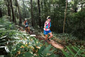 BIB: 
                            <button type="button" onclick="openModal(22544757)" class="btn btn-primary btn-sm float-right btn-popup" data-toggle="modal" data-target=".modal-high-quality">
                        <i class="fas fa-shopping-cart"></i> Add to Cart
                    </button>
                                            <button type="button" onclick="isThisMe(22544757, true)" class="btn btn-success btn-sm float-right btn-popup btn-isme hidden" data-toggle="tooltip" data-placement="bottom" title="นี่คือรูปของคุณใช่ไหม คลิกที่นี่เพื่อเอาเข้าอัลบั้ม">
                        <i class="fas fa-plus"></i> Add to album
                    </button>
                    <button type="button" onclick="isThisMe(22544757, false)" class="btn btn-warning btn-sm float-right btn-popup btn-isnotme hidden">
                        <i class="fas fa-ban"></i> Remove from album
                    </button>