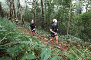 BIB: 
                            <button type="button" onclick="openModal(22573627)" class="btn btn-primary btn-sm float-right btn-popup" data-toggle="modal" data-target=".modal-high-quality">
                        <i class="fas fa-shopping-cart"></i> Add to Cart
                    </button>
                                            <button type="button" onclick="isThisMe(22573627, true)" class="btn btn-success btn-sm float-right btn-popup btn-isme hidden" data-toggle="tooltip" data-placement="bottom" title="นี่คือรูปของคุณใช่ไหม คลิกที่นี่เพื่อเอาเข้าอัลบั้ม">
                        <i class="fas fa-plus"></i> Add to album
                    </button>
                    <button type="button" onclick="isThisMe(22573627, false)" class="btn btn-warning btn-sm float-right btn-popup btn-isnotme hidden">
                        <i class="fas fa-ban"></i> Remove from album
                    </button>