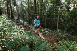 BIB: 
                            <button type="button" onclick="openModal(22546243)" class="btn btn-primary btn-sm float-right btn-popup" data-toggle="modal" data-target=".modal-high-quality">
                        <i class="fas fa-shopping-cart"></i> Add to Cart
                    </button>
                                            <button type="button" onclick="isThisMe(22546243, true)" class="btn btn-success btn-sm float-right btn-popup btn-isme hidden" data-toggle="tooltip" data-placement="bottom" title="นี่คือรูปของคุณใช่ไหม คลิกที่นี่เพื่อเอาเข้าอัลบั้ม">
                        <i class="fas fa-plus"></i> Add to album
                    </button>
                    <button type="button" onclick="isThisMe(22546243, false)" class="btn btn-warning btn-sm float-right btn-popup btn-isnotme hidden">
                        <i class="fas fa-ban"></i> Remove from album
                    </button>