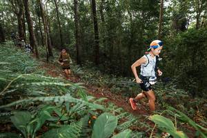 BIB: 
                            <button type="button" onclick="openModal(22537096)" class="btn btn-primary btn-sm float-right btn-popup" data-toggle="modal" data-target=".modal-high-quality">
                        <i class="fas fa-shopping-cart"></i> Add to Cart
                    </button>
                                            <button type="button" onclick="isThisMe(22537096, true)" class="btn btn-success btn-sm float-right btn-popup btn-isme hidden" data-toggle="tooltip" data-placement="bottom" title="นี่คือรูปของคุณใช่ไหม คลิกที่นี่เพื่อเอาเข้าอัลบั้ม">
                        <i class="fas fa-plus"></i> Add to album
                    </button>
                    <button type="button" onclick="isThisMe(22537096, false)" class="btn btn-warning btn-sm float-right btn-popup btn-isnotme hidden">
                        <i class="fas fa-ban"></i> Remove from album
                    </button>