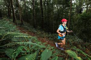 BIB: 
                            <button type="button" onclick="openModal(22533162)" class="btn btn-primary btn-sm float-right btn-popup" data-toggle="modal" data-target=".modal-high-quality">
                        <i class="fas fa-shopping-cart"></i> Add to Cart
                    </button>
                                            <button type="button" onclick="isThisMe(22533162, true)" class="btn btn-success btn-sm float-right btn-popup btn-isme hidden" data-toggle="tooltip" data-placement="bottom" title="นี่คือรูปของคุณใช่ไหม คลิกที่นี่เพื่อเอาเข้าอัลบั้ม">
                        <i class="fas fa-plus"></i> Add to album
                    </button>
                    <button type="button" onclick="isThisMe(22533162, false)" class="btn btn-warning btn-sm float-right btn-popup btn-isnotme hidden">
                        <i class="fas fa-ban"></i> Remove from album
                    </button>