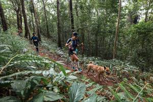 BIB: 
                            <button type="button" onclick="openModal(22564244)" class="btn btn-primary btn-sm float-right btn-popup" data-toggle="modal" data-target=".modal-high-quality">
                        <i class="fas fa-shopping-cart"></i> Add to Cart
                    </button>
                                            <button type="button" onclick="isThisMe(22564244, true)" class="btn btn-success btn-sm float-right btn-popup btn-isme hidden" data-toggle="tooltip" data-placement="bottom" title="นี่คือรูปของคุณใช่ไหม คลิกที่นี่เพื่อเอาเข้าอัลบั้ม">
                        <i class="fas fa-plus"></i> Add to album
                    </button>
                    <button type="button" onclick="isThisMe(22564244, false)" class="btn btn-warning btn-sm float-right btn-popup btn-isnotme hidden">
                        <i class="fas fa-ban"></i> Remove from album
                    </button>