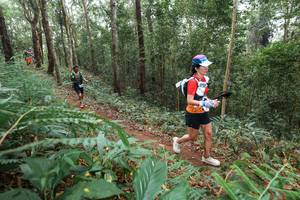 BIB: 
                            <button type="button" onclick="openModal(22575245)" class="btn btn-primary btn-sm float-right btn-popup" data-toggle="modal" data-target=".modal-high-quality">
                        <i class="fas fa-shopping-cart"></i> Add to Cart
                    </button>
                                            <button type="button" onclick="isThisMe(22575245, true)" class="btn btn-success btn-sm float-right btn-popup btn-isme hidden" data-toggle="tooltip" data-placement="bottom" title="นี่คือรูปของคุณใช่ไหม คลิกที่นี่เพื่อเอาเข้าอัลบั้ม">
                        <i class="fas fa-plus"></i> Add to album
                    </button>
                    <button type="button" onclick="isThisMe(22575245, false)" class="btn btn-warning btn-sm float-right btn-popup btn-isnotme hidden">
                        <i class="fas fa-ban"></i> Remove from album
                    </button>