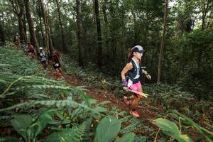 BIB: 
                            <button type="button" onclick="openModal(22537036)" class="btn btn-primary btn-sm float-right btn-popup" data-toggle="modal" data-target=".modal-high-quality">
                        <i class="fas fa-shopping-cart"></i> Add to Cart
                    </button>
                                            <button type="button" onclick="isThisMe(22537036, true)" class="btn btn-success btn-sm float-right btn-popup btn-isme hidden" data-toggle="tooltip" data-placement="bottom" title="นี่คือรูปของคุณใช่ไหม คลิกที่นี่เพื่อเอาเข้าอัลบั้ม">
                        <i class="fas fa-plus"></i> Add to album
                    </button>
                    <button type="button" onclick="isThisMe(22537036, false)" class="btn btn-warning btn-sm float-right btn-popup btn-isnotme hidden">
                        <i class="fas fa-ban"></i> Remove from album
                    </button>