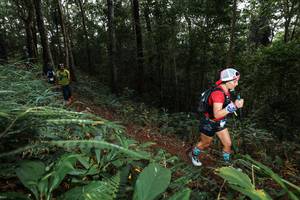 BIB: 
                            <button type="button" onclick="openModal(22537597)" class="btn btn-primary btn-sm float-right btn-popup" data-toggle="modal" data-target=".modal-high-quality">
                        <i class="fas fa-shopping-cart"></i> Add to Cart
                    </button>
                                            <button type="button" onclick="isThisMe(22537597, true)" class="btn btn-success btn-sm float-right btn-popup btn-isme hidden" data-toggle="tooltip" data-placement="bottom" title="นี่คือรูปของคุณใช่ไหม คลิกที่นี่เพื่อเอาเข้าอัลบั้ม">
                        <i class="fas fa-plus"></i> Add to album
                    </button>
                    <button type="button" onclick="isThisMe(22537597, false)" class="btn btn-warning btn-sm float-right btn-popup btn-isnotme hidden">
                        <i class="fas fa-ban"></i> Remove from album
                    </button>