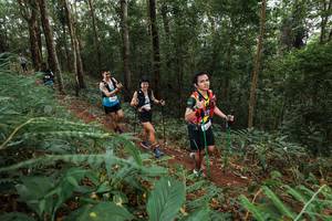 BIB: 
                            <button type="button" onclick="openModal(22584581)" class="btn btn-primary btn-sm float-right btn-popup" data-toggle="modal" data-target=".modal-high-quality">
                        <i class="fas fa-shopping-cart"></i> Add to Cart
                    </button>
                                            <button type="button" onclick="isThisMe(22584581, true)" class="btn btn-success btn-sm float-right btn-popup btn-isme hidden" data-toggle="tooltip" data-placement="bottom" title="นี่คือรูปของคุณใช่ไหม คลิกที่นี่เพื่อเอาเข้าอัลบั้ม">
                        <i class="fas fa-plus"></i> Add to album
                    </button>
                    <button type="button" onclick="isThisMe(22584581, false)" class="btn btn-warning btn-sm float-right btn-popup btn-isnotme hidden">
                        <i class="fas fa-ban"></i> Remove from album
                    </button>