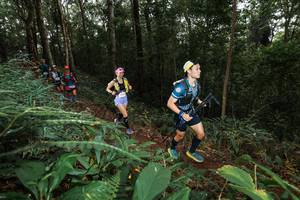 BIB: 
                            <button type="button" onclick="openModal(22538200)" class="btn btn-primary btn-sm float-right btn-popup" data-toggle="modal" data-target=".modal-high-quality">
                        <i class="fas fa-shopping-cart"></i> Add to Cart
                    </button>
                                            <button type="button" onclick="isThisMe(22538200, true)" class="btn btn-success btn-sm float-right btn-popup btn-isme hidden" data-toggle="tooltip" data-placement="bottom" title="นี่คือรูปของคุณใช่ไหม คลิกที่นี่เพื่อเอาเข้าอัลบั้ม">
                        <i class="fas fa-plus"></i> Add to album
                    </button>
                    <button type="button" onclick="isThisMe(22538200, false)" class="btn btn-warning btn-sm float-right btn-popup btn-isnotme hidden">
                        <i class="fas fa-ban"></i> Remove from album
                    </button>