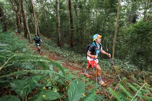 BIB: 
                            <button type="button" onclick="openModal(22580993)" class="btn btn-primary btn-sm float-right btn-popup" data-toggle="modal" data-target=".modal-high-quality">
                        <i class="fas fa-shopping-cart"></i> Add to Cart
                    </button>
                                            <button type="button" onclick="isThisMe(22580993, true)" class="btn btn-success btn-sm float-right btn-popup btn-isme hidden" data-toggle="tooltip" data-placement="bottom" title="นี่คือรูปของคุณใช่ไหม คลิกที่นี่เพื่อเอาเข้าอัลบั้ม">
                        <i class="fas fa-plus"></i> Add to album
                    </button>
                    <button type="button" onclick="isThisMe(22580993, false)" class="btn btn-warning btn-sm float-right btn-popup btn-isnotme hidden">
                        <i class="fas fa-ban"></i> Remove from album
                    </button>