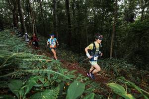 BIB: 
                            <button type="button" onclick="openModal(22538057)" class="btn btn-primary btn-sm float-right btn-popup" data-toggle="modal" data-target=".modal-high-quality">
                        <i class="fas fa-shopping-cart"></i> Add to Cart
                    </button>
                                            <button type="button" onclick="isThisMe(22538057, true)" class="btn btn-success btn-sm float-right btn-popup btn-isme hidden" data-toggle="tooltip" data-placement="bottom" title="นี่คือรูปของคุณใช่ไหม คลิกที่นี่เพื่อเอาเข้าอัลบั้ม">
                        <i class="fas fa-plus"></i> Add to album
                    </button>
                    <button type="button" onclick="isThisMe(22538057, false)" class="btn btn-warning btn-sm float-right btn-popup btn-isnotme hidden">
                        <i class="fas fa-ban"></i> Remove from album
                    </button>