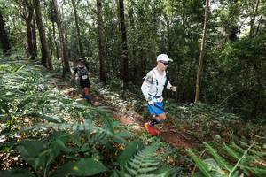 BIB: 
                            <button type="button" onclick="openModal(22546645)" class="btn btn-primary btn-sm float-right btn-popup" data-toggle="modal" data-target=".modal-high-quality">
                        <i class="fas fa-shopping-cart"></i> Add to Cart
                    </button>
                                            <button type="button" onclick="isThisMe(22546645, true)" class="btn btn-success btn-sm float-right btn-popup btn-isme hidden" data-toggle="tooltip" data-placement="bottom" title="นี่คือรูปของคุณใช่ไหม คลิกที่นี่เพื่อเอาเข้าอัลบั้ม">
                        <i class="fas fa-plus"></i> Add to album
                    </button>
                    <button type="button" onclick="isThisMe(22546645, false)" class="btn btn-warning btn-sm float-right btn-popup btn-isnotme hidden">
                        <i class="fas fa-ban"></i> Remove from album
                    </button>