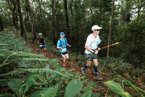 BIB: 
                            <button type="button" onclick="openModal(22538782)" class="btn btn-primary btn-sm float-right btn-popup" data-toggle="modal" data-target=".modal-high-quality">
                        <i class="fas fa-shopping-cart"></i> Add to Cart
                    </button>
                                            <button type="button" onclick="isThisMe(22538782, true)" class="btn btn-success btn-sm float-right btn-popup btn-isme hidden" data-toggle="tooltip" data-placement="bottom" title="นี่คือรูปของคุณใช่ไหม คลิกที่นี่เพื่อเอาเข้าอัลบั้ม">
                        <i class="fas fa-plus"></i> Add to album
                    </button>
                    <button type="button" onclick="isThisMe(22538782, false)" class="btn btn-warning btn-sm float-right btn-popup btn-isnotme hidden">
                        <i class="fas fa-ban"></i> Remove from album
                    </button>