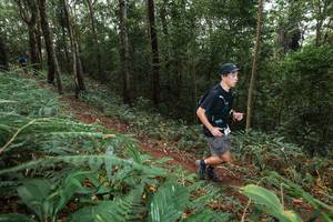 BIB: 
                            <button type="button" onclick="openModal(22542268)" class="btn btn-primary btn-sm float-right btn-popup" data-toggle="modal" data-target=".modal-high-quality">
                        <i class="fas fa-shopping-cart"></i> Add to Cart
                    </button>
                                            <button type="button" onclick="isThisMe(22542268, true)" class="btn btn-success btn-sm float-right btn-popup btn-isme hidden" data-toggle="tooltip" data-placement="bottom" title="นี่คือรูปของคุณใช่ไหม คลิกที่นี่เพื่อเอาเข้าอัลบั้ม">
                        <i class="fas fa-plus"></i> Add to album
                    </button>
                    <button type="button" onclick="isThisMe(22542268, false)" class="btn btn-warning btn-sm float-right btn-popup btn-isnotme hidden">
                        <i class="fas fa-ban"></i> Remove from album
                    </button>