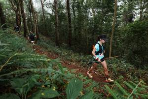 BIB: 
                            <button type="button" onclick="openModal(22571484)" class="btn btn-primary btn-sm float-right btn-popup" data-toggle="modal" data-target=".modal-high-quality">
                        <i class="fas fa-shopping-cart"></i> Add to Cart
                    </button>
                                            <button type="button" onclick="isThisMe(22571484, true)" class="btn btn-success btn-sm float-right btn-popup btn-isme hidden" data-toggle="tooltip" data-placement="bottom" title="นี่คือรูปของคุณใช่ไหม คลิกที่นี่เพื่อเอาเข้าอัลบั้ม">
                        <i class="fas fa-plus"></i> Add to album
                    </button>
                    <button type="button" onclick="isThisMe(22571484, false)" class="btn btn-warning btn-sm float-right btn-popup btn-isnotme hidden">
                        <i class="fas fa-ban"></i> Remove from album
                    </button>