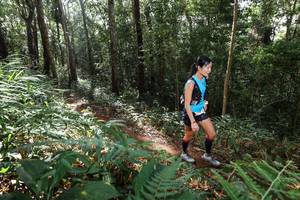 BIB: 
                            <button type="button" onclick="openModal(22546319)" class="btn btn-primary btn-sm float-right btn-popup" data-toggle="modal" data-target=".modal-high-quality">
                        <i class="fas fa-shopping-cart"></i> Add to Cart
                    </button>
                                            <button type="button" onclick="isThisMe(22546319, true)" class="btn btn-success btn-sm float-right btn-popup btn-isme hidden" data-toggle="tooltip" data-placement="bottom" title="นี่คือรูปของคุณใช่ไหม คลิกที่นี่เพื่อเอาเข้าอัลบั้ม">
                        <i class="fas fa-plus"></i> Add to album
                    </button>
                    <button type="button" onclick="isThisMe(22546319, false)" class="btn btn-warning btn-sm float-right btn-popup btn-isnotme hidden">
                        <i class="fas fa-ban"></i> Remove from album
                    </button>