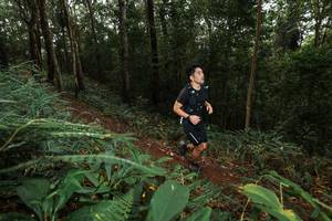 BIB: 
                            <button type="button" onclick="openModal(22533181)" class="btn btn-primary btn-sm float-right btn-popup" data-toggle="modal" data-target=".modal-high-quality">
                        <i class="fas fa-shopping-cart"></i> Add to Cart
                    </button>
                                            <button type="button" onclick="isThisMe(22533181, true)" class="btn btn-success btn-sm float-right btn-popup btn-isme hidden" data-toggle="tooltip" data-placement="bottom" title="นี่คือรูปของคุณใช่ไหม คลิกที่นี่เพื่อเอาเข้าอัลบั้ม">
                        <i class="fas fa-plus"></i> Add to album
                    </button>
                    <button type="button" onclick="isThisMe(22533181, false)" class="btn btn-warning btn-sm float-right btn-popup btn-isnotme hidden">
                        <i class="fas fa-ban"></i> Remove from album
                    </button>