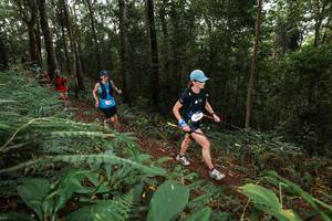 BIB: 
                            <button type="button" onclick="openModal(22536256)" class="btn btn-primary btn-sm float-right btn-popup" data-toggle="modal" data-target=".modal-high-quality">
                        <i class="fas fa-shopping-cart"></i> Add to Cart
                    </button>
                                            <button type="button" onclick="isThisMe(22536256, true)" class="btn btn-success btn-sm float-right btn-popup btn-isme hidden" data-toggle="tooltip" data-placement="bottom" title="นี่คือรูปของคุณใช่ไหม คลิกที่นี่เพื่อเอาเข้าอัลบั้ม">
                        <i class="fas fa-plus"></i> Add to album
                    </button>
                    <button type="button" onclick="isThisMe(22536256, false)" class="btn btn-warning btn-sm float-right btn-popup btn-isnotme hidden">
                        <i class="fas fa-ban"></i> Remove from album
                    </button>