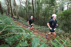 BIB: 
                            <button type="button" onclick="openModal(22573637)" class="btn btn-primary btn-sm float-right btn-popup" data-toggle="modal" data-target=".modal-high-quality">
                        <i class="fas fa-shopping-cart"></i> Add to Cart
                    </button>
                                            <button type="button" onclick="isThisMe(22573637, true)" class="btn btn-success btn-sm float-right btn-popup btn-isme hidden" data-toggle="tooltip" data-placement="bottom" title="นี่คือรูปของคุณใช่ไหม คลิกที่นี่เพื่อเอาเข้าอัลบั้ม">
                        <i class="fas fa-plus"></i> Add to album
                    </button>
                    <button type="button" onclick="isThisMe(22573637, false)" class="btn btn-warning btn-sm float-right btn-popup btn-isnotme hidden">
                        <i class="fas fa-ban"></i> Remove from album
                    </button>