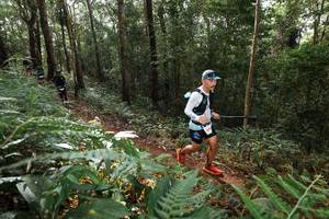 BIB: 
                            <button type="button" onclick="openModal(22544639)" class="btn btn-primary btn-sm float-right btn-popup" data-toggle="modal" data-target=".modal-high-quality">
                        <i class="fas fa-shopping-cart"></i> Add to Cart
                    </button>
                                            <button type="button" onclick="isThisMe(22544639, true)" class="btn btn-success btn-sm float-right btn-popup btn-isme hidden" data-toggle="tooltip" data-placement="bottom" title="นี่คือรูปของคุณใช่ไหม คลิกที่นี่เพื่อเอาเข้าอัลบั้ม">
                        <i class="fas fa-plus"></i> Add to album
                    </button>
                    <button type="button" onclick="isThisMe(22544639, false)" class="btn btn-warning btn-sm float-right btn-popup btn-isnotme hidden">
                        <i class="fas fa-ban"></i> Remove from album
                    </button>