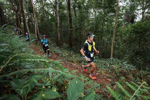 BIB: 
                            <button type="button" onclick="openModal(22567763)" class="btn btn-primary btn-sm float-right btn-popup" data-toggle="modal" data-target=".modal-high-quality">
                        <i class="fas fa-shopping-cart"></i> Add to Cart
                    </button>
                                            <button type="button" onclick="isThisMe(22567763, true)" class="btn btn-success btn-sm float-right btn-popup btn-isme hidden" data-toggle="tooltip" data-placement="bottom" title="นี่คือรูปของคุณใช่ไหม คลิกที่นี่เพื่อเอาเข้าอัลบั้ม">
                        <i class="fas fa-plus"></i> Add to album
                    </button>
                    <button type="button" onclick="isThisMe(22567763, false)" class="btn btn-warning btn-sm float-right btn-popup btn-isnotme hidden">
                        <i class="fas fa-ban"></i> Remove from album
                    </button>