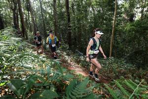 BIB: 
                            <button type="button" onclick="openModal(22546149)" class="btn btn-primary btn-sm float-right btn-popup" data-toggle="modal" data-target=".modal-high-quality">
                        <i class="fas fa-shopping-cart"></i> Add to Cart
                    </button>
                                            <button type="button" onclick="isThisMe(22546149, true)" class="btn btn-success btn-sm float-right btn-popup btn-isme hidden" data-toggle="tooltip" data-placement="bottom" title="นี่คือรูปของคุณใช่ไหม คลิกที่นี่เพื่อเอาเข้าอัลบั้ม">
                        <i class="fas fa-plus"></i> Add to album
                    </button>
                    <button type="button" onclick="isThisMe(22546149, false)" class="btn btn-warning btn-sm float-right btn-popup btn-isnotme hidden">
                        <i class="fas fa-ban"></i> Remove from album
                    </button>