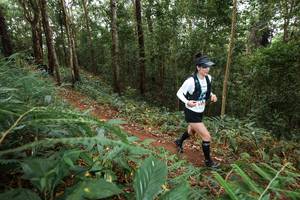 BIB: 
                            <button type="button" onclick="openModal(22568457)" class="btn btn-primary btn-sm float-right btn-popup" data-toggle="modal" data-target=".modal-high-quality">
                        <i class="fas fa-shopping-cart"></i> Add to Cart
                    </button>
                                            <button type="button" onclick="isThisMe(22568457, true)" class="btn btn-success btn-sm float-right btn-popup btn-isme hidden" data-toggle="tooltip" data-placement="bottom" title="นี่คือรูปของคุณใช่ไหม คลิกที่นี่เพื่อเอาเข้าอัลบั้ม">
                        <i class="fas fa-plus"></i> Add to album
                    </button>
                    <button type="button" onclick="isThisMe(22568457, false)" class="btn btn-warning btn-sm float-right btn-popup btn-isnotme hidden">
                        <i class="fas fa-ban"></i> Remove from album
                    </button>