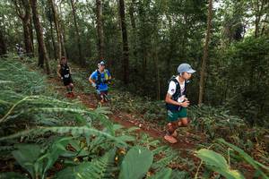 BIB: 
                            <button type="button" onclick="openModal(22534681)" class="btn btn-primary btn-sm float-right btn-popup" data-toggle="modal" data-target=".modal-high-quality">
                        <i class="fas fa-shopping-cart"></i> Add to Cart
                    </button>
                                            <button type="button" onclick="isThisMe(22534681, true)" class="btn btn-success btn-sm float-right btn-popup btn-isme hidden" data-toggle="tooltip" data-placement="bottom" title="นี่คือรูปของคุณใช่ไหม คลิกที่นี่เพื่อเอาเข้าอัลบั้ม">
                        <i class="fas fa-plus"></i> Add to album
                    </button>
                    <button type="button" onclick="isThisMe(22534681, false)" class="btn btn-warning btn-sm float-right btn-popup btn-isnotme hidden">
                        <i class="fas fa-ban"></i> Remove from album
                    </button>