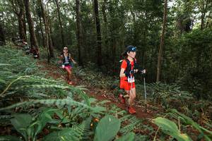 BIB: 
                            <button type="button" onclick="openModal(22536987)" class="btn btn-primary btn-sm float-right btn-popup" data-toggle="modal" data-target=".modal-high-quality">
                        <i class="fas fa-shopping-cart"></i> Add to Cart
                    </button>
                                            <button type="button" onclick="isThisMe(22536987, true)" class="btn btn-success btn-sm float-right btn-popup btn-isme hidden" data-toggle="tooltip" data-placement="bottom" title="นี่คือรูปของคุณใช่ไหม คลิกที่นี่เพื่อเอาเข้าอัลบั้ม">
                        <i class="fas fa-plus"></i> Add to album
                    </button>
                    <button type="button" onclick="isThisMe(22536987, false)" class="btn btn-warning btn-sm float-right btn-popup btn-isnotme hidden">
                        <i class="fas fa-ban"></i> Remove from album
                    </button>