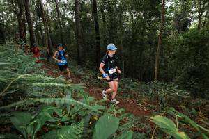 BIB: 
                            <button type="button" onclick="openModal(22536258)" class="btn btn-primary btn-sm float-right btn-popup" data-toggle="modal" data-target=".modal-high-quality">
                        <i class="fas fa-shopping-cart"></i> Add to Cart
                    </button>
                                            <button type="button" onclick="isThisMe(22536258, true)" class="btn btn-success btn-sm float-right btn-popup btn-isme hidden" data-toggle="tooltip" data-placement="bottom" title="นี่คือรูปของคุณใช่ไหม คลิกที่นี่เพื่อเอาเข้าอัลบั้ม">
                        <i class="fas fa-plus"></i> Add to album
                    </button>
                    <button type="button" onclick="isThisMe(22536258, false)" class="btn btn-warning btn-sm float-right btn-popup btn-isnotme hidden">
                        <i class="fas fa-ban"></i> Remove from album
                    </button>