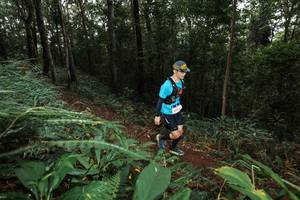 BIB: 2003
                            <button type="button" onclick="openModal(22537906)" class="btn btn-primary btn-sm float-right btn-popup" data-toggle="modal" data-target=".modal-high-quality">
                        <i class="fas fa-shopping-cart"></i> Add to Cart
                    </button>
                                            <button type="button" onclick="isThisMe(22537906, true)" class="btn btn-success btn-sm float-right btn-popup btn-isme hidden" data-toggle="tooltip" data-placement="bottom" title="นี่คือรูปของคุณใช่ไหม คลิกที่นี่เพื่อเอาเข้าอัลบั้ม">
                        <i class="fas fa-plus"></i> Add to album
                    </button>
                    <button type="button" onclick="isThisMe(22537906, false)" class="btn btn-warning btn-sm float-right btn-popup btn-isnotme hidden">
                        <i class="fas fa-ban"></i> Remove from album
                    </button>