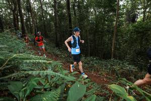 BIB: 
                            <button type="button" onclick="openModal(22536262)" class="btn btn-primary btn-sm float-right btn-popup" data-toggle="modal" data-target=".modal-high-quality">
                        <i class="fas fa-shopping-cart"></i> Add to Cart
                    </button>
                                            <button type="button" onclick="isThisMe(22536262, true)" class="btn btn-success btn-sm float-right btn-popup btn-isme hidden" data-toggle="tooltip" data-placement="bottom" title="นี่คือรูปของคุณใช่ไหม คลิกที่นี่เพื่อเอาเข้าอัลบั้ม">
                        <i class="fas fa-plus"></i> Add to album
                    </button>
                    <button type="button" onclick="isThisMe(22536262, false)" class="btn btn-warning btn-sm float-right btn-popup btn-isnotme hidden">
                        <i class="fas fa-ban"></i> Remove from album
                    </button>