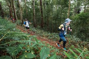 BIB: 
                            <button type="button" onclick="openModal(22580916)" class="btn btn-primary btn-sm float-right btn-popup" data-toggle="modal" data-target=".modal-high-quality">
                        <i class="fas fa-shopping-cart"></i> Add to Cart
                    </button>
                                            <button type="button" onclick="isThisMe(22580916, true)" class="btn btn-success btn-sm float-right btn-popup btn-isme hidden" data-toggle="tooltip" data-placement="bottom" title="นี่คือรูปของคุณใช่ไหม คลิกที่นี่เพื่อเอาเข้าอัลบั้ม">
                        <i class="fas fa-plus"></i> Add to album
                    </button>
                    <button type="button" onclick="isThisMe(22580916, false)" class="btn btn-warning btn-sm float-right btn-popup btn-isnotme hidden">
                        <i class="fas fa-ban"></i> Remove from album
                    </button>