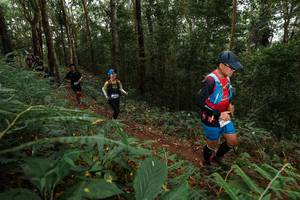 BIB: 
                            <button type="button" onclick="openModal(22582278)" class="btn btn-primary btn-sm float-right btn-popup" data-toggle="modal" data-target=".modal-high-quality">
                        <i class="fas fa-shopping-cart"></i> Add to Cart
                    </button>
                                            <button type="button" onclick="isThisMe(22582278, true)" class="btn btn-success btn-sm float-right btn-popup btn-isme hidden" data-toggle="tooltip" data-placement="bottom" title="นี่คือรูปของคุณใช่ไหม คลิกที่นี่เพื่อเอาเข้าอัลบั้ม">
                        <i class="fas fa-plus"></i> Add to album
                    </button>
                    <button type="button" onclick="isThisMe(22582278, false)" class="btn btn-warning btn-sm float-right btn-popup btn-isnotme hidden">
                        <i class="fas fa-ban"></i> Remove from album
                    </button>