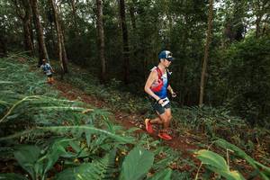 BIB: 
                            <button type="button" onclick="openModal(22533892)" class="btn btn-primary btn-sm float-right btn-popup" data-toggle="modal" data-target=".modal-high-quality">
                        <i class="fas fa-shopping-cart"></i> Add to Cart
                    </button>
                                            <button type="button" onclick="isThisMe(22533892, true)" class="btn btn-success btn-sm float-right btn-popup btn-isme hidden" data-toggle="tooltip" data-placement="bottom" title="นี่คือรูปของคุณใช่ไหม คลิกที่นี่เพื่อเอาเข้าอัลบั้ม">
                        <i class="fas fa-plus"></i> Add to album
                    </button>
                    <button type="button" onclick="isThisMe(22533892, false)" class="btn btn-warning btn-sm float-right btn-popup btn-isnotme hidden">
                        <i class="fas fa-ban"></i> Remove from album
                    </button>