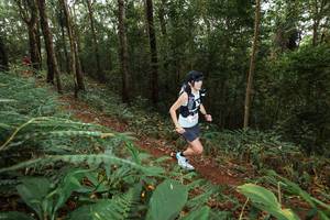 BIB: 
                            <button type="button" onclick="openModal(22534289)" class="btn btn-primary btn-sm float-right btn-popup" data-toggle="modal" data-target=".modal-high-quality">
                        <i class="fas fa-shopping-cart"></i> Add to Cart
                    </button>
                                            <button type="button" onclick="isThisMe(22534289, true)" class="btn btn-success btn-sm float-right btn-popup btn-isme hidden" data-toggle="tooltip" data-placement="bottom" title="นี่คือรูปของคุณใช่ไหม คลิกที่นี่เพื่อเอาเข้าอัลบั้ม">
                        <i class="fas fa-plus"></i> Add to album
                    </button>
                    <button type="button" onclick="isThisMe(22534289, false)" class="btn btn-warning btn-sm float-right btn-popup btn-isnotme hidden">
                        <i class="fas fa-ban"></i> Remove from album
                    </button>