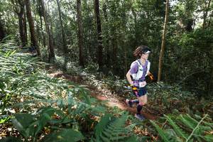 BIB: 
                            <button type="button" onclick="openModal(22546324)" class="btn btn-primary btn-sm float-right btn-popup" data-toggle="modal" data-target=".modal-high-quality">
                        <i class="fas fa-shopping-cart"></i> Add to Cart
                    </button>
                                            <button type="button" onclick="isThisMe(22546324, true)" class="btn btn-success btn-sm float-right btn-popup btn-isme hidden" data-toggle="tooltip" data-placement="bottom" title="นี่คือรูปของคุณใช่ไหม คลิกที่นี่เพื่อเอาเข้าอัลบั้ม">
                        <i class="fas fa-plus"></i> Add to album
                    </button>
                    <button type="button" onclick="isThisMe(22546324, false)" class="btn btn-warning btn-sm float-right btn-popup btn-isnotme hidden">
                        <i class="fas fa-ban"></i> Remove from album
                    </button>