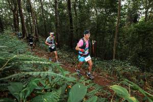 BIB: 
                            <button type="button" onclick="openModal(22537176)" class="btn btn-primary btn-sm float-right btn-popup" data-toggle="modal" data-target=".modal-high-quality">
                        <i class="fas fa-shopping-cart"></i> Add to Cart
                    </button>
                                            <button type="button" onclick="isThisMe(22537176, true)" class="btn btn-success btn-sm float-right btn-popup btn-isme hidden" data-toggle="tooltip" data-placement="bottom" title="นี่คือรูปของคุณใช่ไหม คลิกที่นี่เพื่อเอาเข้าอัลบั้ม">
                        <i class="fas fa-plus"></i> Add to album
                    </button>
                    <button type="button" onclick="isThisMe(22537176, false)" class="btn btn-warning btn-sm float-right btn-popup btn-isnotme hidden">
                        <i class="fas fa-ban"></i> Remove from album
                    </button>