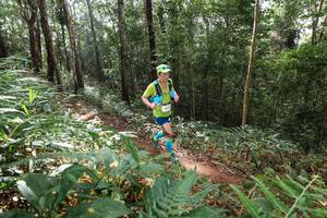 BIB: 
                            <button type="button" onclick="openModal(22545614)" class="btn btn-primary btn-sm float-right btn-popup" data-toggle="modal" data-target=".modal-high-quality">
                        <i class="fas fa-shopping-cart"></i> Add to Cart
                    </button>
                                            <button type="button" onclick="isThisMe(22545614, true)" class="btn btn-success btn-sm float-right btn-popup btn-isme hidden" data-toggle="tooltip" data-placement="bottom" title="นี่คือรูปของคุณใช่ไหม คลิกที่นี่เพื่อเอาเข้าอัลบั้ม">
                        <i class="fas fa-plus"></i> Add to album
                    </button>
                    <button type="button" onclick="isThisMe(22545614, false)" class="btn btn-warning btn-sm float-right btn-popup btn-isnotme hidden">
                        <i class="fas fa-ban"></i> Remove from album
                    </button>