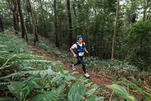 BIB: 
                            <button type="button" onclick="openModal(22543097)" class="btn btn-primary btn-sm float-right btn-popup" data-toggle="modal" data-target=".modal-high-quality">
                        <i class="fas fa-shopping-cart"></i> Add to Cart
                    </button>
                                            <button type="button" onclick="isThisMe(22543097, true)" class="btn btn-success btn-sm float-right btn-popup btn-isme hidden" data-toggle="tooltip" data-placement="bottom" title="นี่คือรูปของคุณใช่ไหม คลิกที่นี่เพื่อเอาเข้าอัลบั้ม">
                        <i class="fas fa-plus"></i> Add to album
                    </button>
                    <button type="button" onclick="isThisMe(22543097, false)" class="btn btn-warning btn-sm float-right btn-popup btn-isnotme hidden">
                        <i class="fas fa-ban"></i> Remove from album
                    </button>