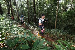 BIB: 
                            <button type="button" onclick="openModal(22546444)" class="btn btn-primary btn-sm float-right btn-popup" data-toggle="modal" data-target=".modal-high-quality">
                        <i class="fas fa-shopping-cart"></i> Add to Cart
                    </button>
                                            <button type="button" onclick="isThisMe(22546444, true)" class="btn btn-success btn-sm float-right btn-popup btn-isme hidden" data-toggle="tooltip" data-placement="bottom" title="นี่คือรูปของคุณใช่ไหม คลิกที่นี่เพื่อเอาเข้าอัลบั้ม">
                        <i class="fas fa-plus"></i> Add to album
                    </button>
                    <button type="button" onclick="isThisMe(22546444, false)" class="btn btn-warning btn-sm float-right btn-popup btn-isnotme hidden">
                        <i class="fas fa-ban"></i> Remove from album
                    </button>