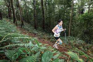 BIB: 
                            <button type="button" onclick="openModal(22543123)" class="btn btn-primary btn-sm float-right btn-popup" data-toggle="modal" data-target=".modal-high-quality">
                        <i class="fas fa-shopping-cart"></i> Add to Cart
                    </button>
                                            <button type="button" onclick="isThisMe(22543123, true)" class="btn btn-success btn-sm float-right btn-popup btn-isme hidden" data-toggle="tooltip" data-placement="bottom" title="นี่คือรูปของคุณใช่ไหม คลิกที่นี่เพื่อเอาเข้าอัลบั้ม">
                        <i class="fas fa-plus"></i> Add to album
                    </button>
                    <button type="button" onclick="isThisMe(22543123, false)" class="btn btn-warning btn-sm float-right btn-popup btn-isnotme hidden">
                        <i class="fas fa-ban"></i> Remove from album
                    </button>